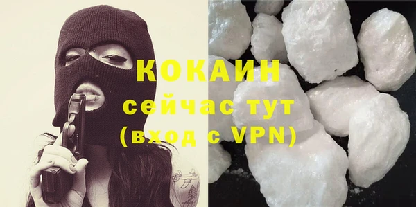 соль ск Алзамай