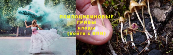 соль ск Алзамай