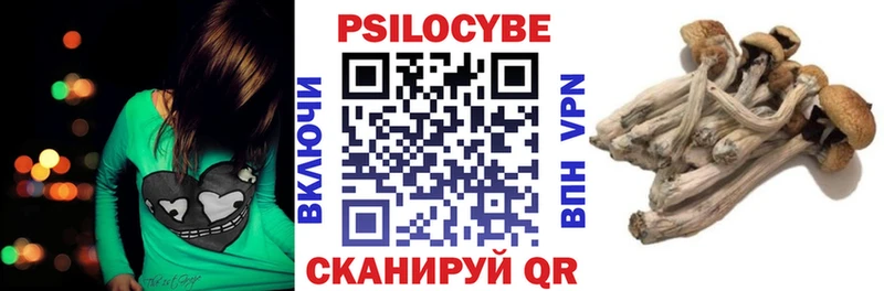 Псилоцибиновые грибы GOLDEN TEACHER Гдов